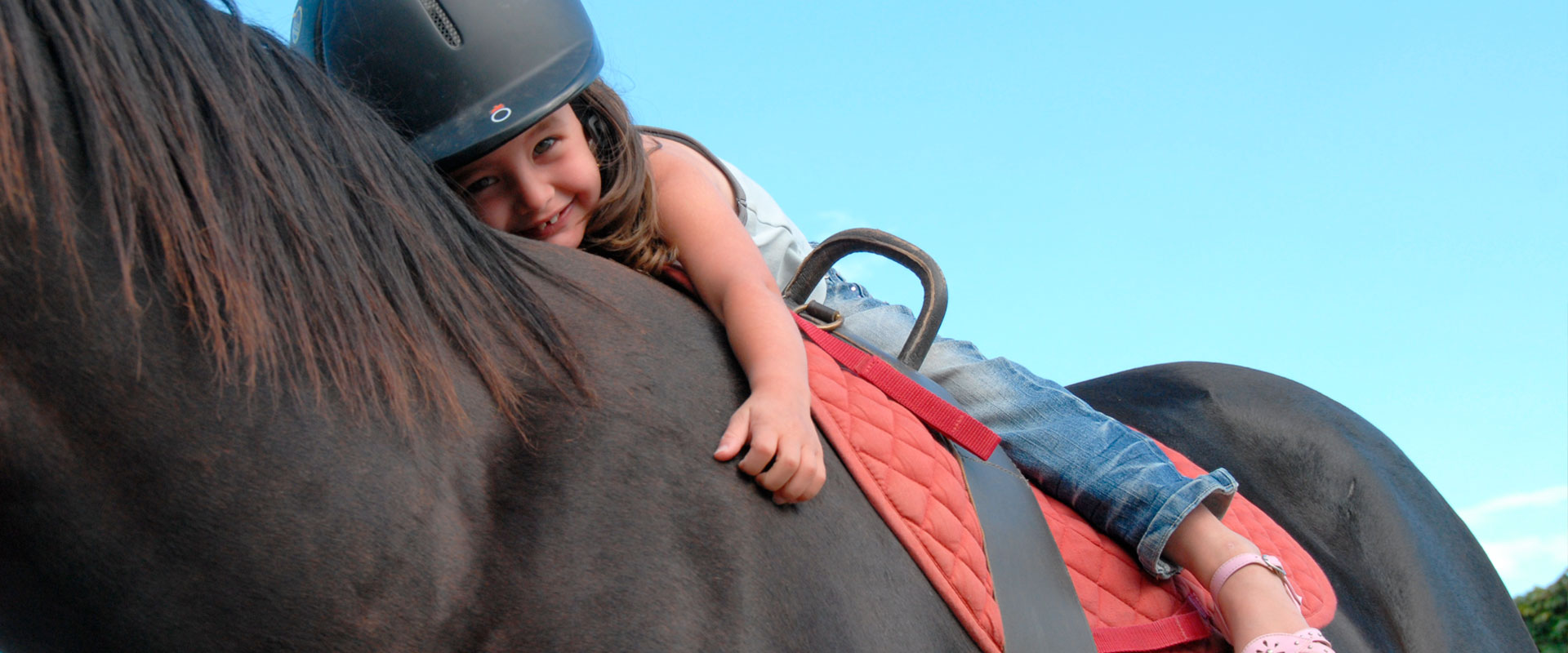 vaulting